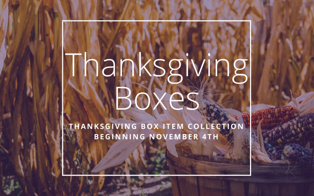 Thanksgiving Boxes